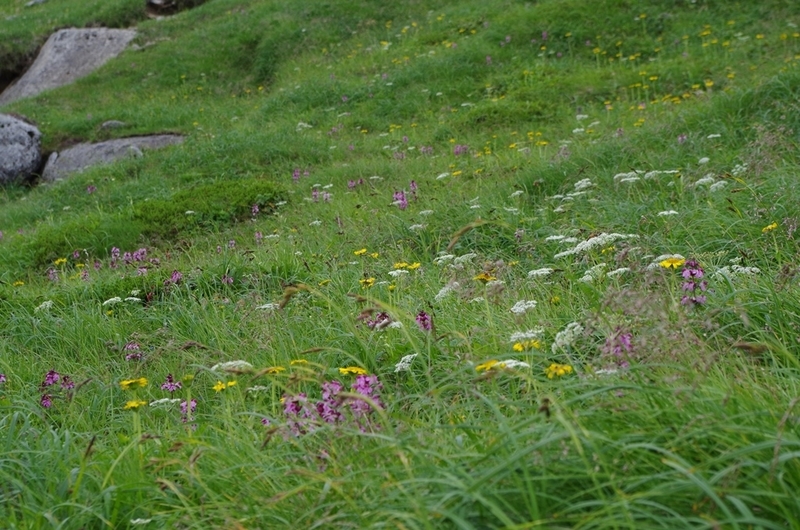 f:id:hirobkk:20200408165042j:plain