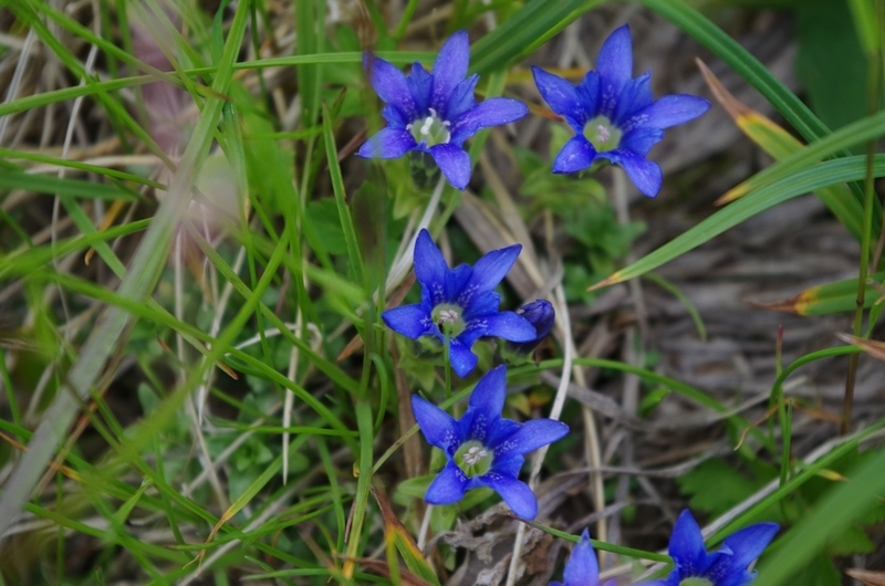 f:id:hirobkk:20200408165048j:plain