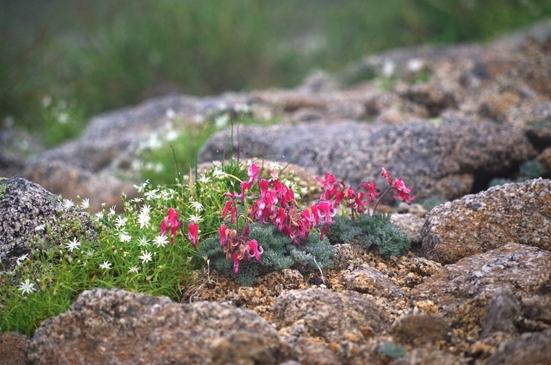 f:id:hirobkk:20200408165205j:plain