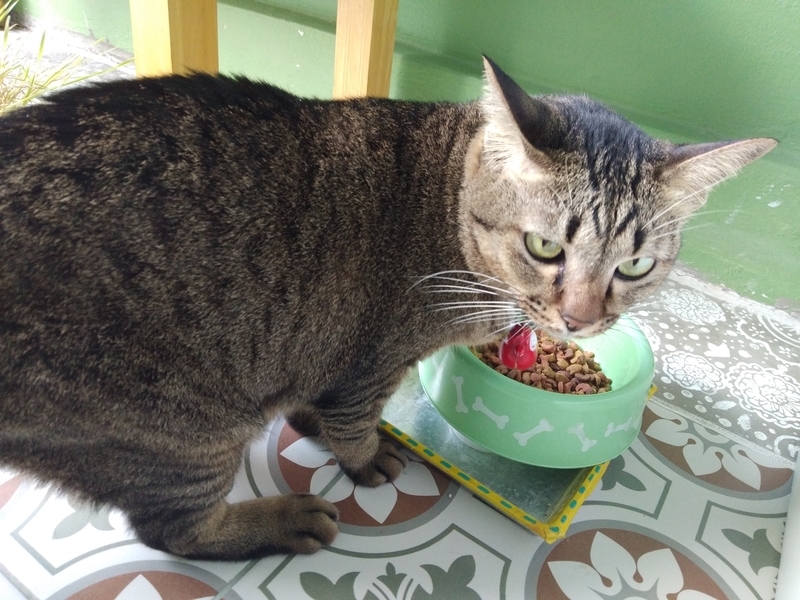 f:id:hirobkk:20200530235355j:plain