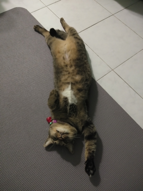 f:id:hirobkk:20200530235410j:plain