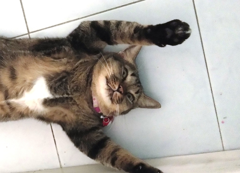 f:id:hirobkk:20200530235434j:plain