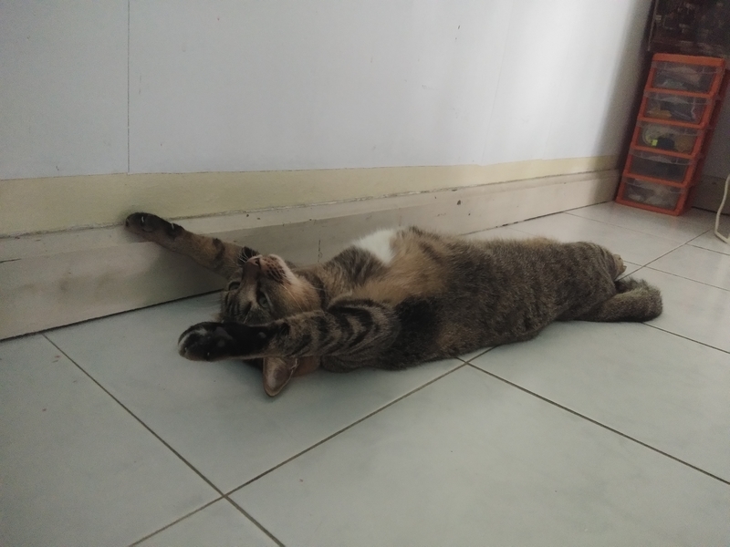 f:id:hirobkk:20200530235441j:plain