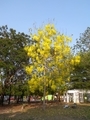 20210330224433