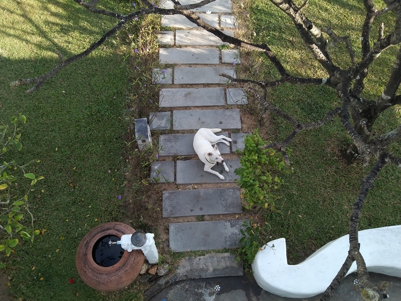 f:id:hirobkk:20220111234518j:plain