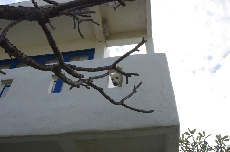 f:id:hirobkk:20220112232000j:plain
