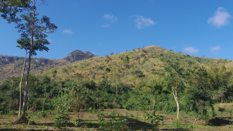 f:id:hirobkk:20220203000406j:plain