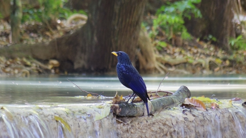 f:id:hirobkk:20220203000454j:plain