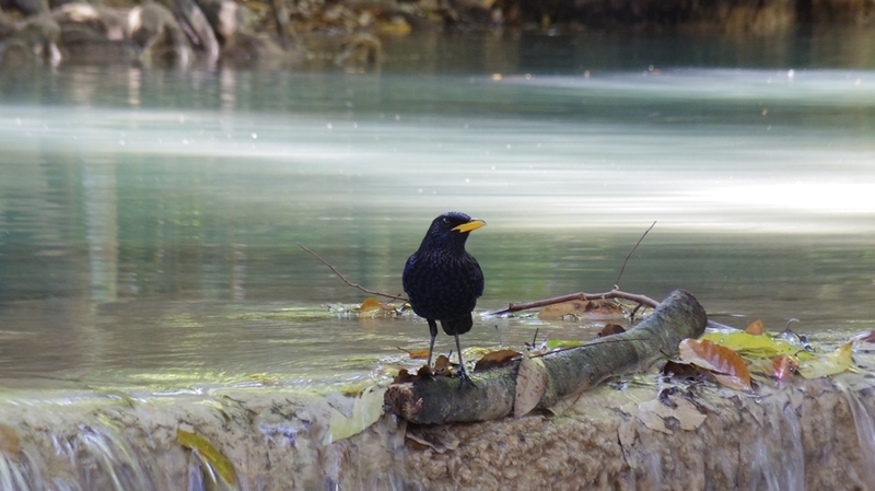 f:id:hirobkk:20220203000505j:plain