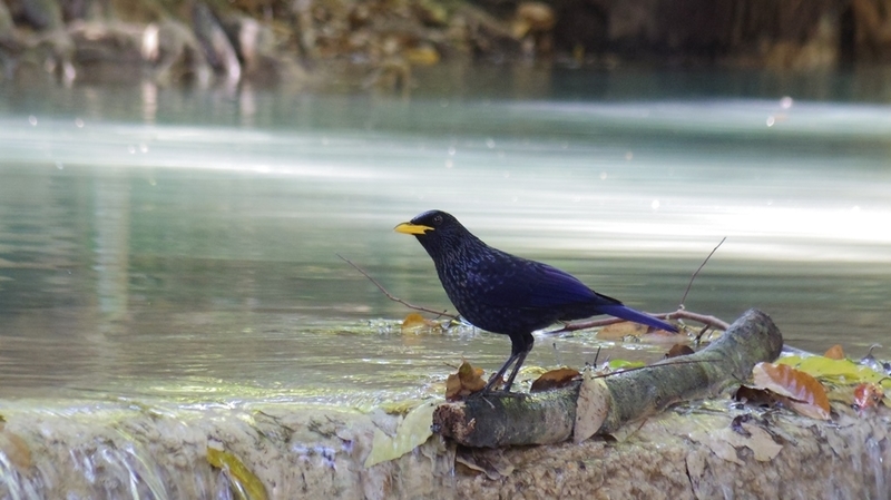 f:id:hirobkk:20220203000511j:plain