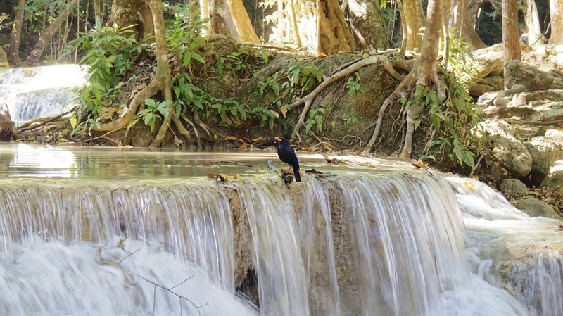 f:id:hirobkk:20220203000517j:plain