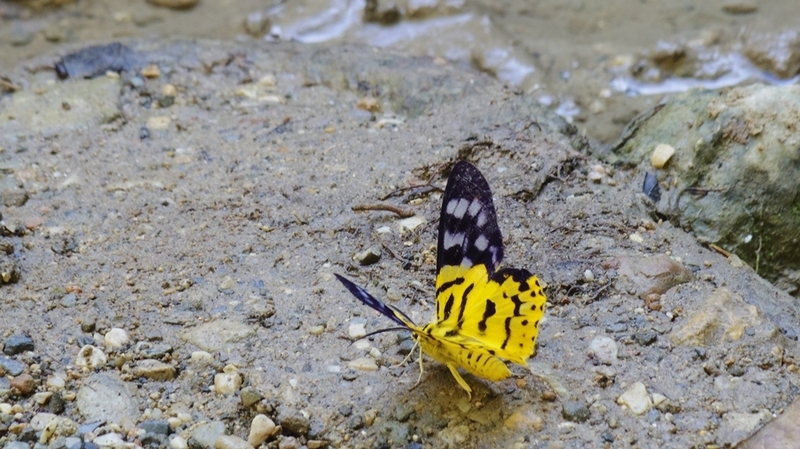 f:id:hirobkk:20220203000523j:plain