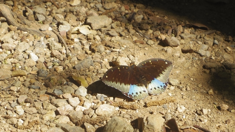 f:id:hirobkk:20220203000601j:plain