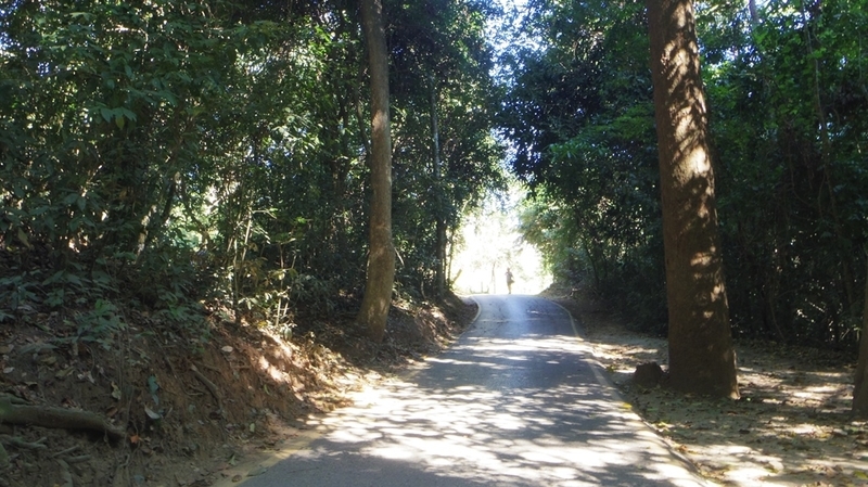 f:id:hirobkk:20220203000607j:plain