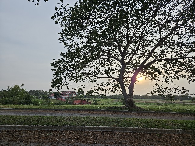 f:id:hirobow522:20250410191049j:image