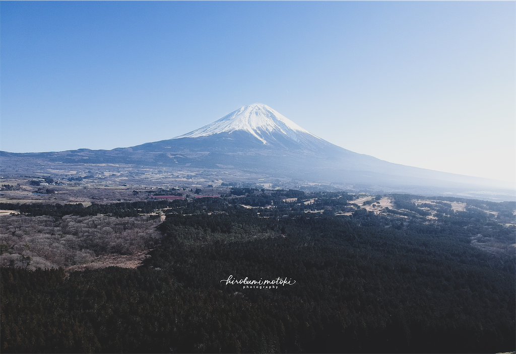 f:id:hirobumi292:20200108074934p:image