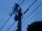 電柱