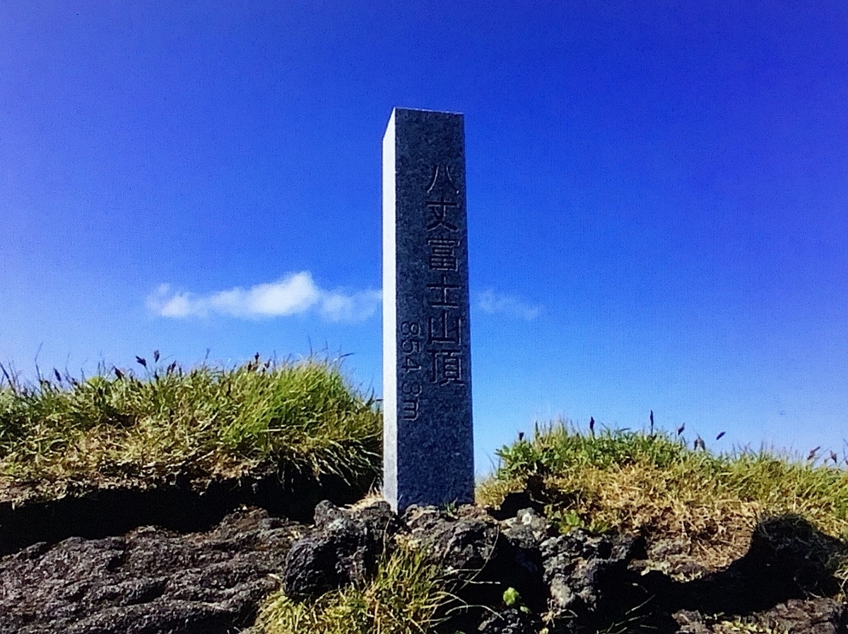 f:id:hirochanna:20210505152151j:plain