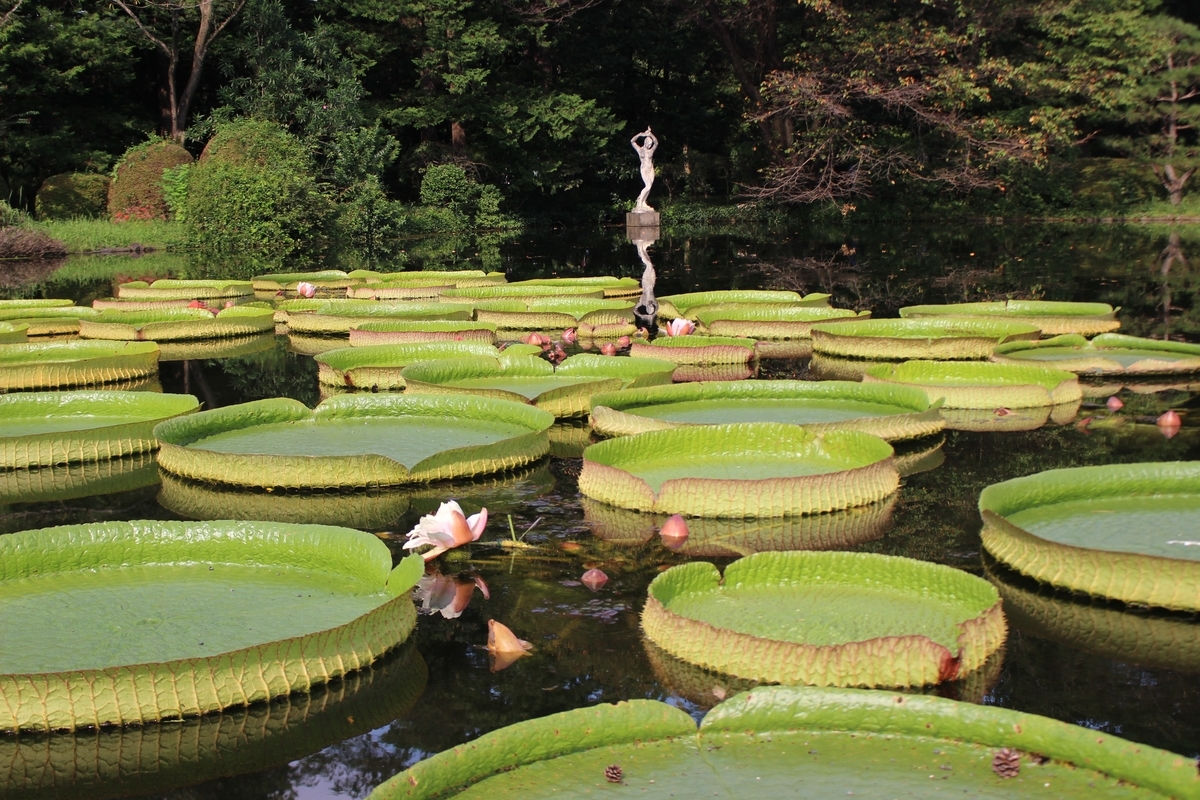 f:id:hirochanna:20210923204514j:plain