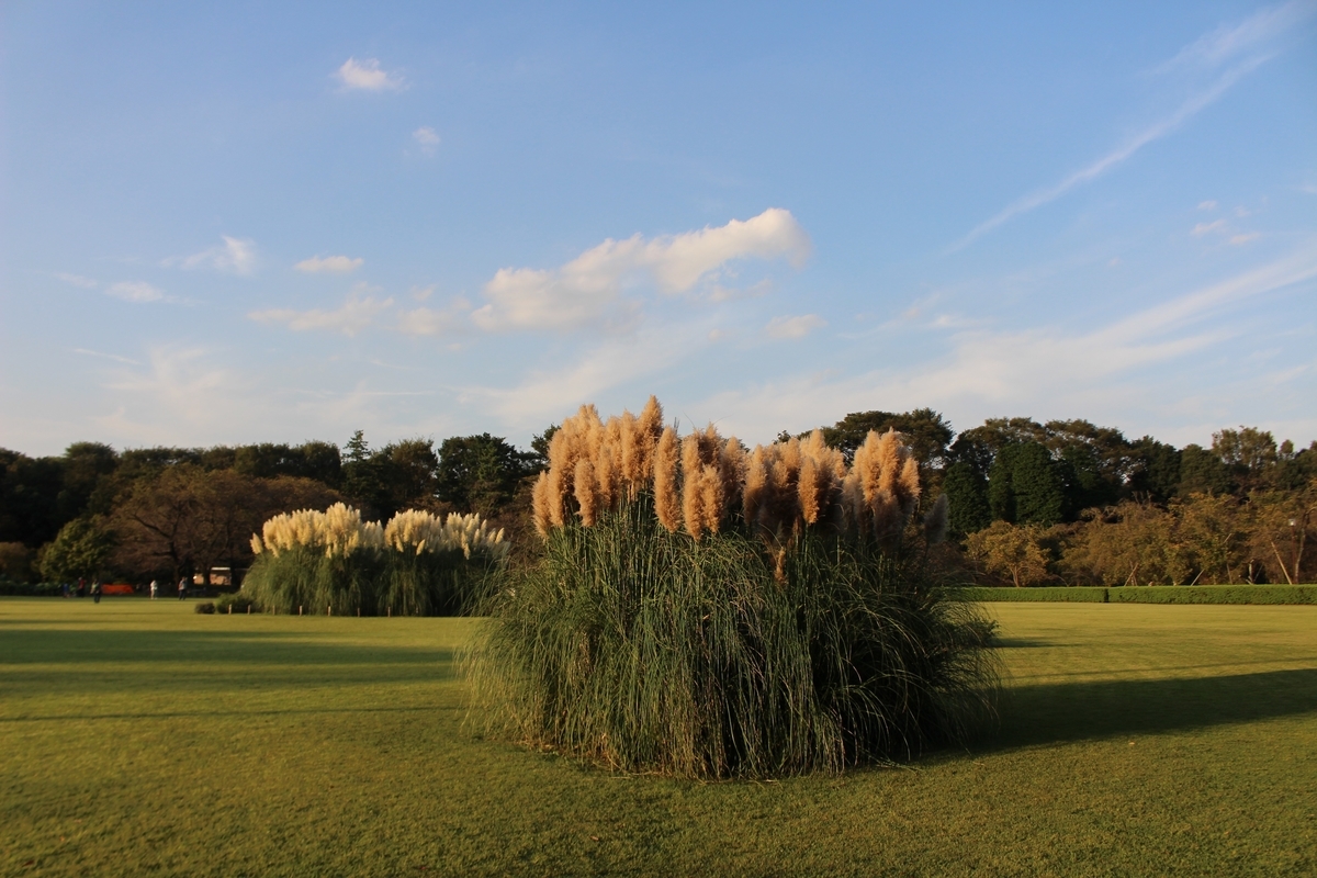 f:id:hirochanna:20210923204949j:plain