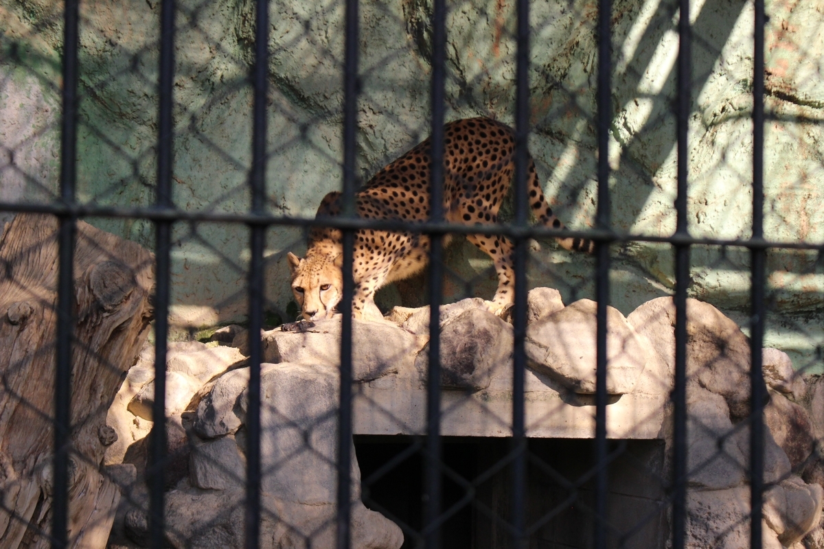 f:id:hirochanna:20210924235329j:plain