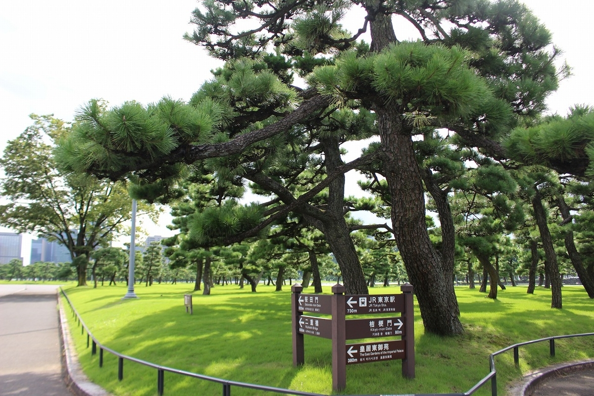 f:id:hirochanna:20210928080446j:plain