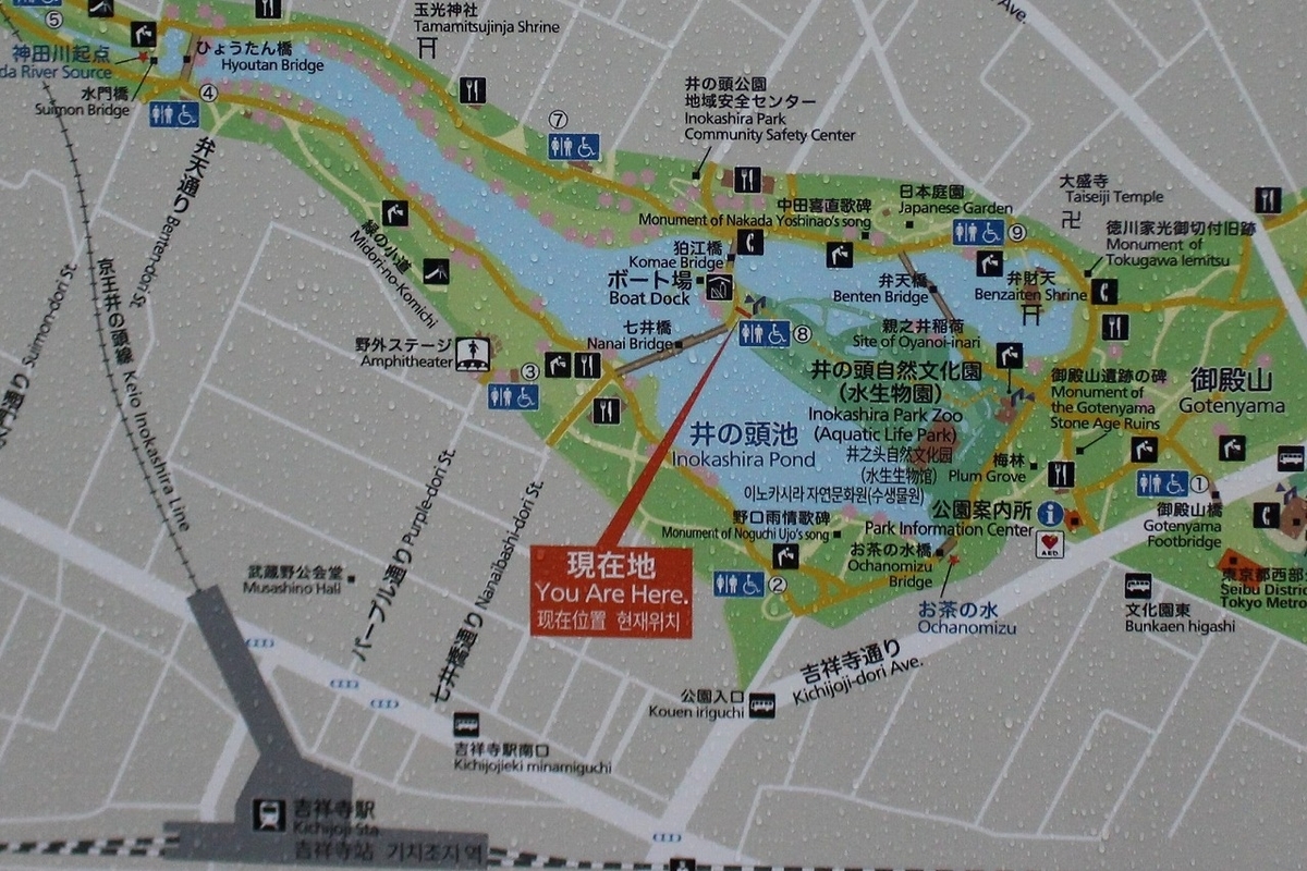 f:id:hirochanna:20211004220233j:plain