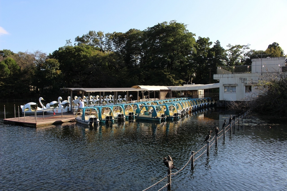 f:id:hirochanna:20211004220623j:plain