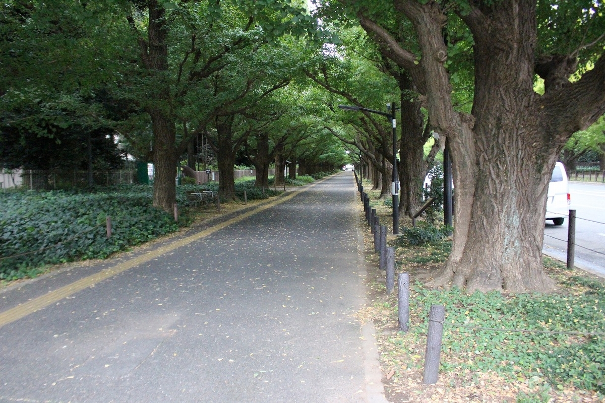 f:id:hirochanna:20211007230355j:plain