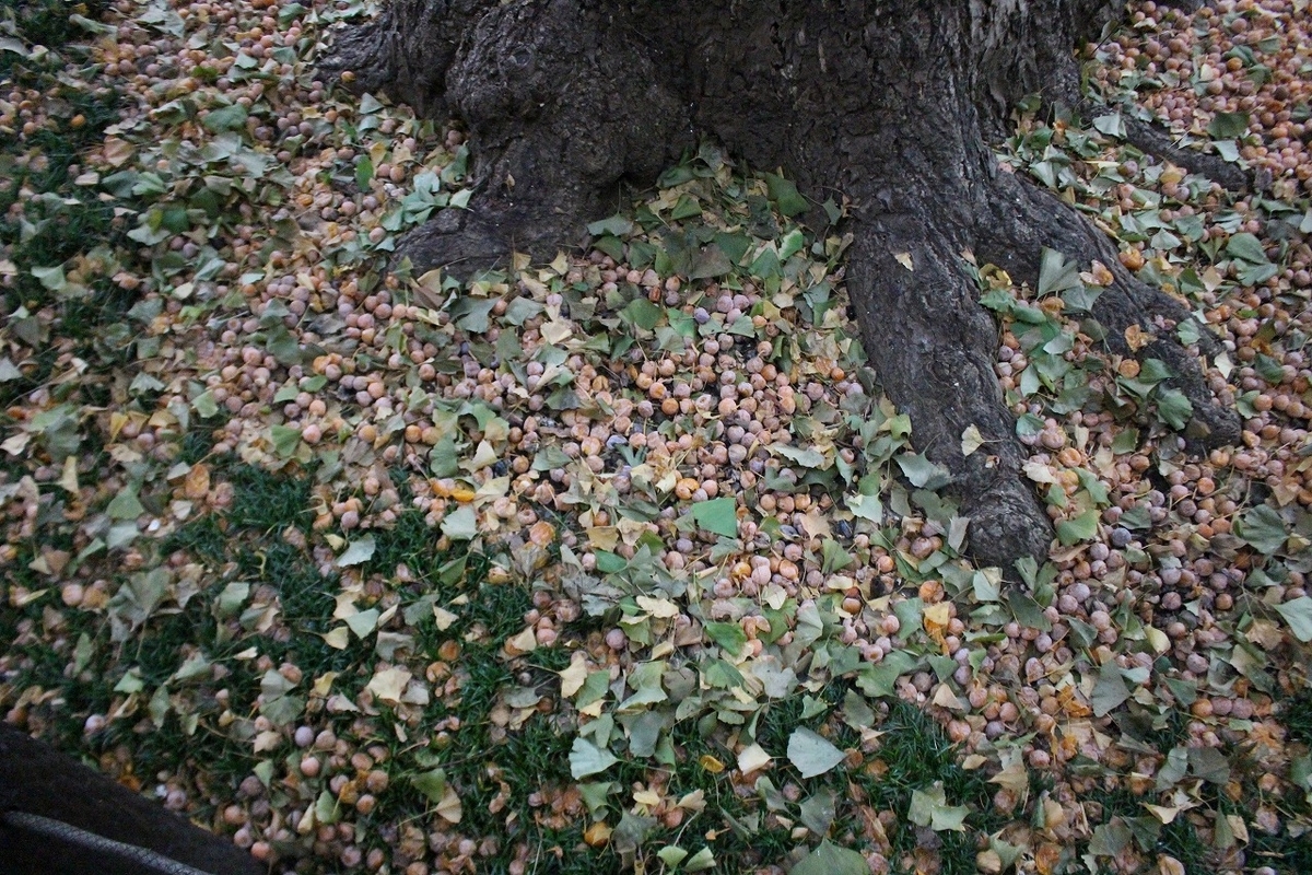 f:id:hirochanna:20211007230453j:plain