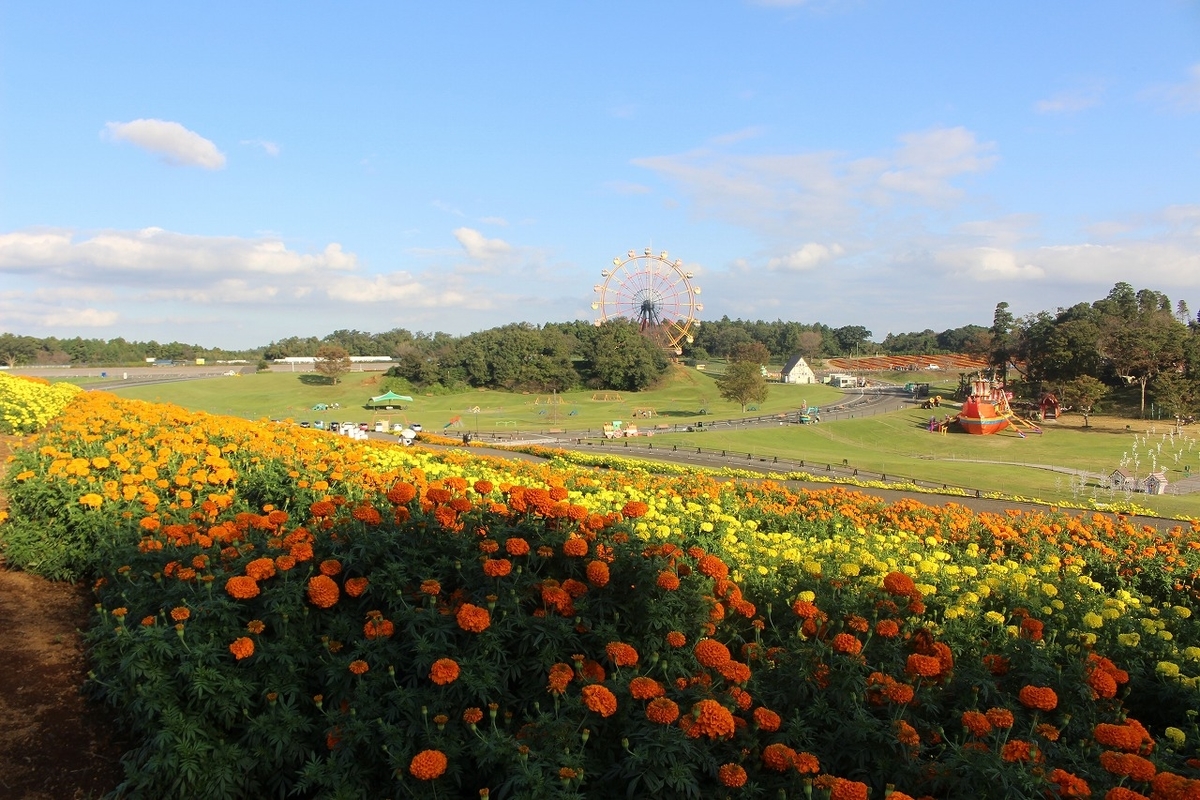 天国ってこんなとこぉー 千葉県袖ケ浦市東京ドイツ村にて もっともっとワクワクの君へ