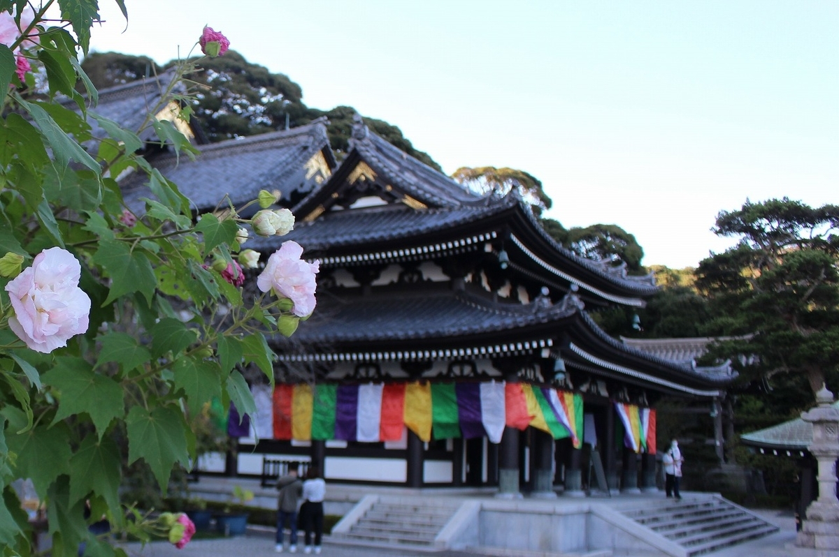 f:id:hirochanna:20211015232117j:plain