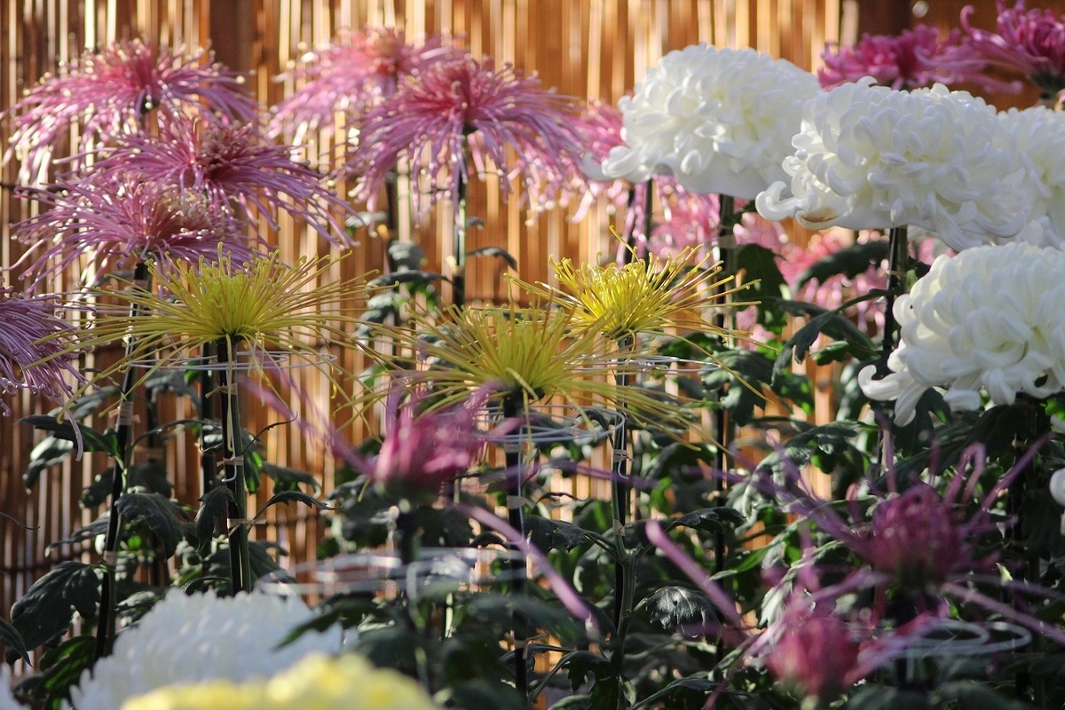 f:id:hirochanna:20211021013127j:plain