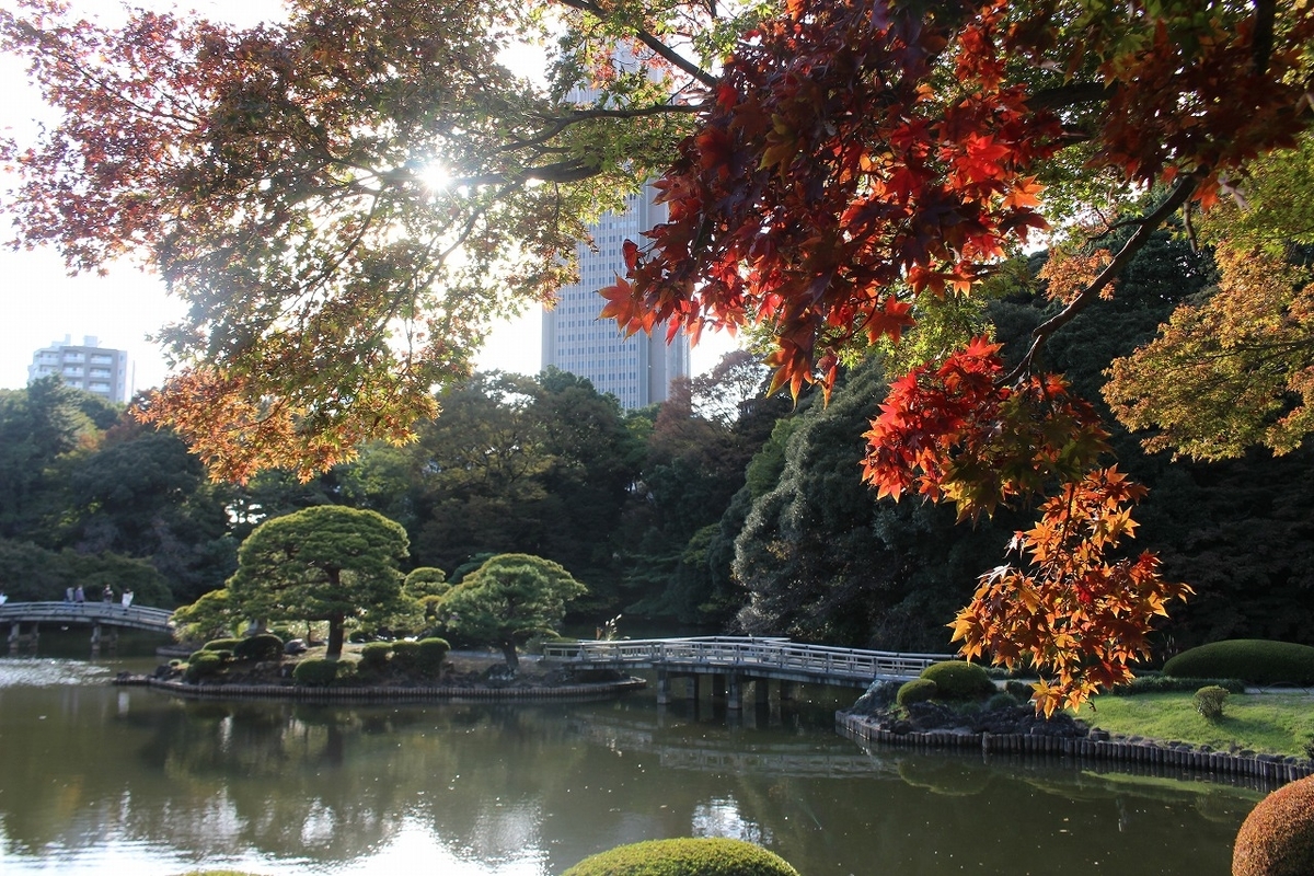 日本庭園で秋のお花見だね 新宿御苑の菊花壇展にて もっともっとワクワクの君へ