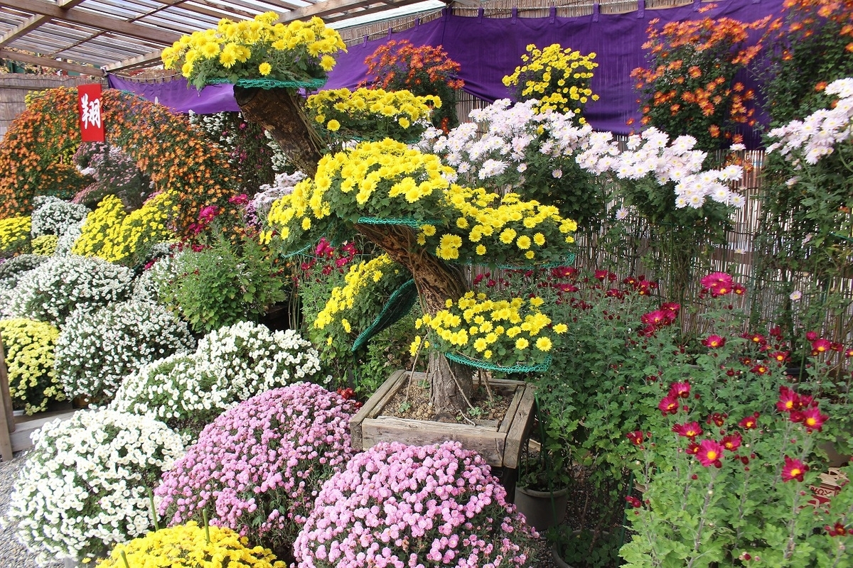 f:id:hirochanna:20211113212613j:plain