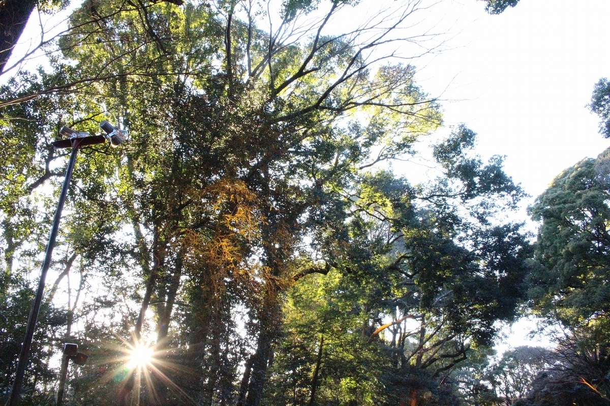 f:id:hirochanna:20220107222739j:plain