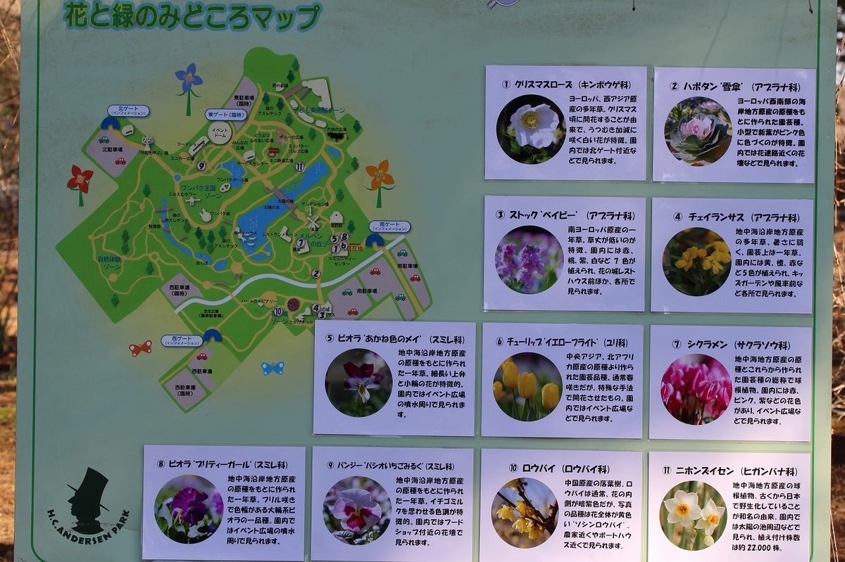 f:id:hirochanna:20220114213417j:plain