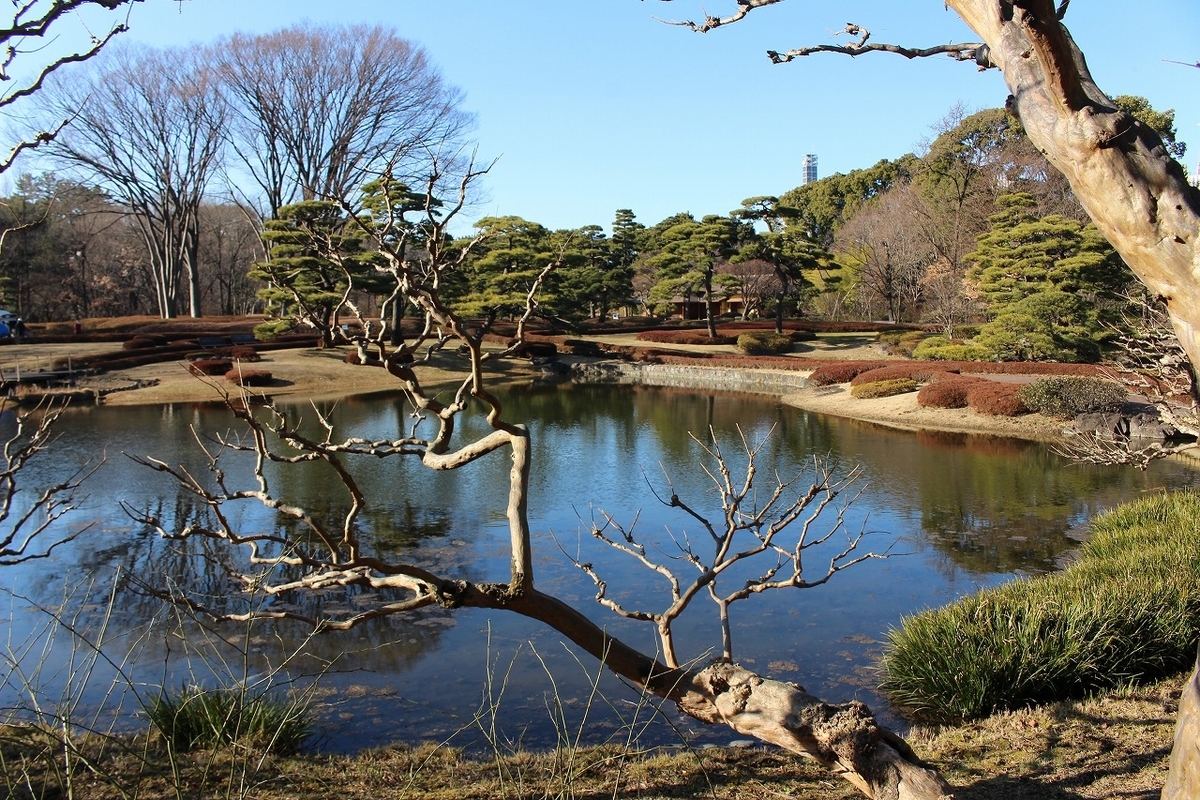 f:id:hirochanna:20220120212843j:plain