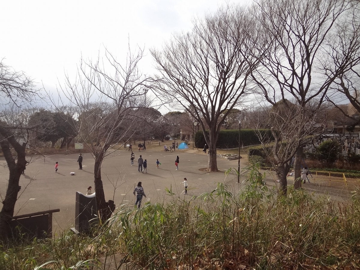 f:id:hirochanna:20220207232136j:plain