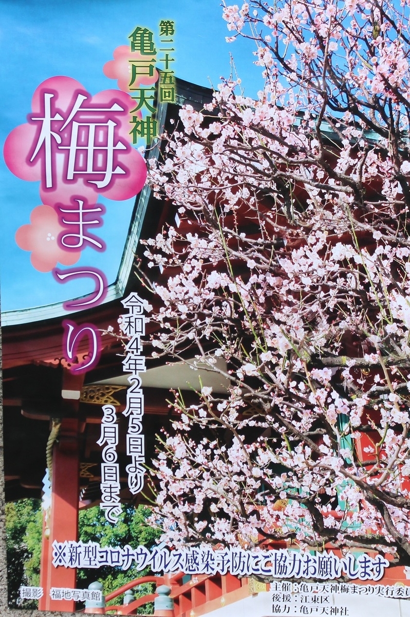 f:id:hirochanna:20220215014434j:plain