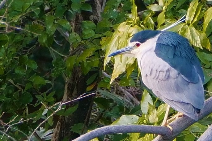 f:id:hirochanna:20220302001011j:plain