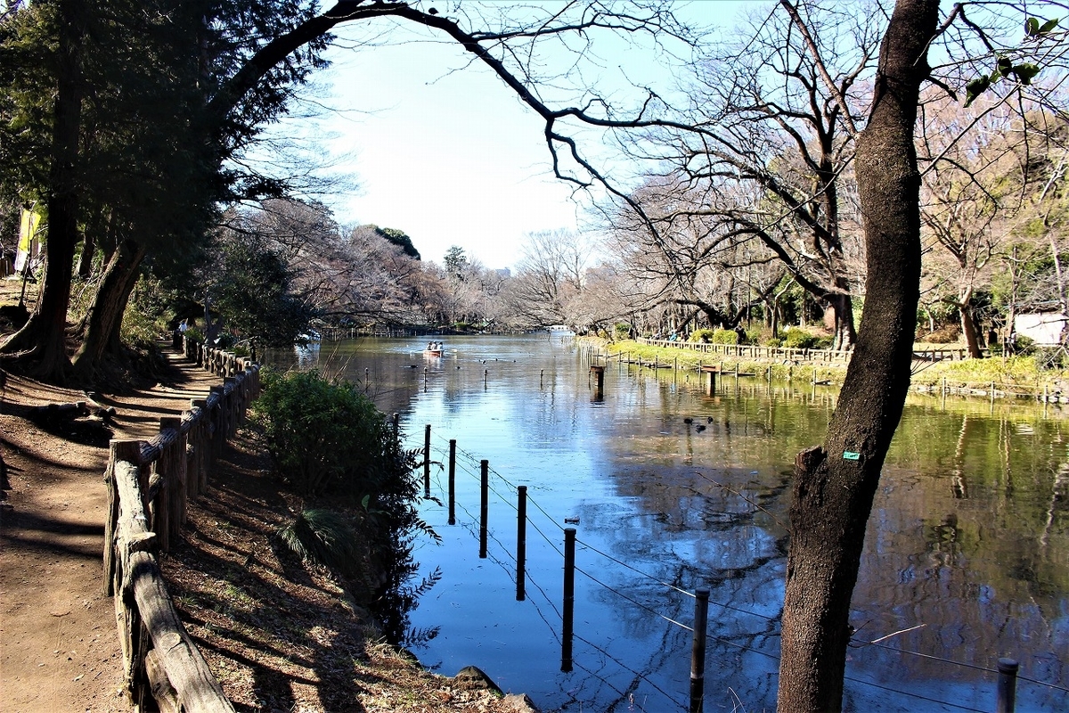 f:id:hirochanna:20220302001335j:plain