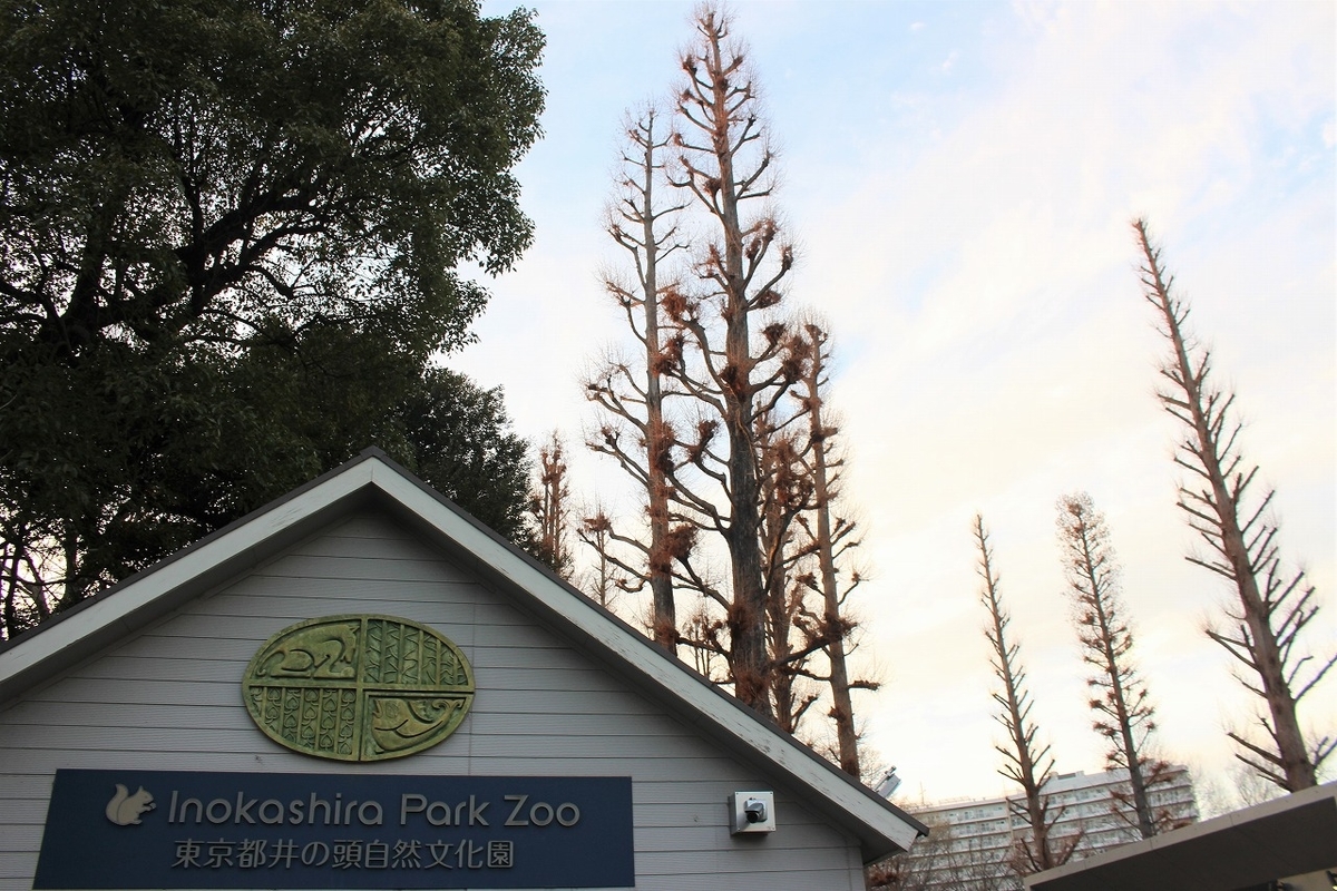 f:id:hirochanna:20220302001426j:plain