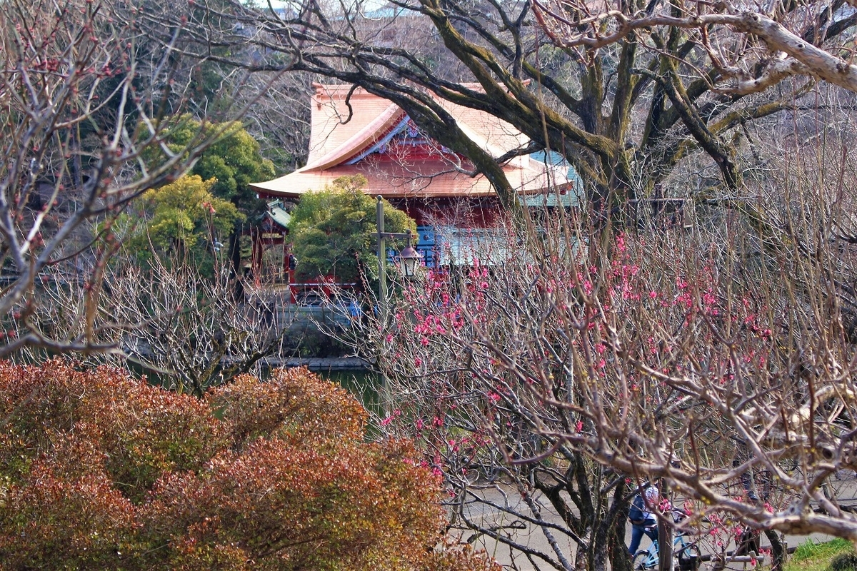 f:id:hirochanna:20220302001609j:plain