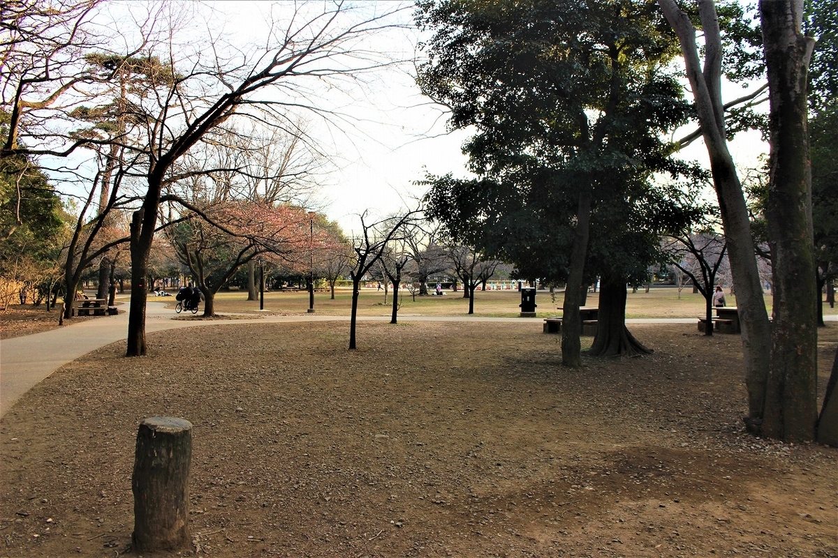 f:id:hirochanna:20220302001709j:plain