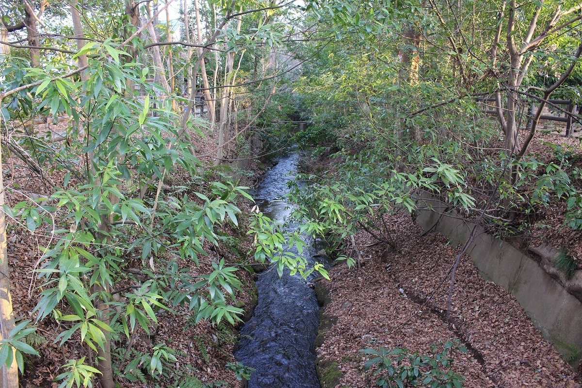 f:id:hirochanna:20220302001828j:plain