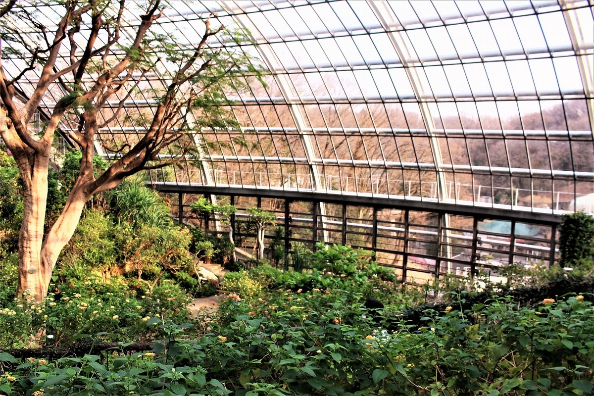 f:id:hirochanna:20220325000337j:plain