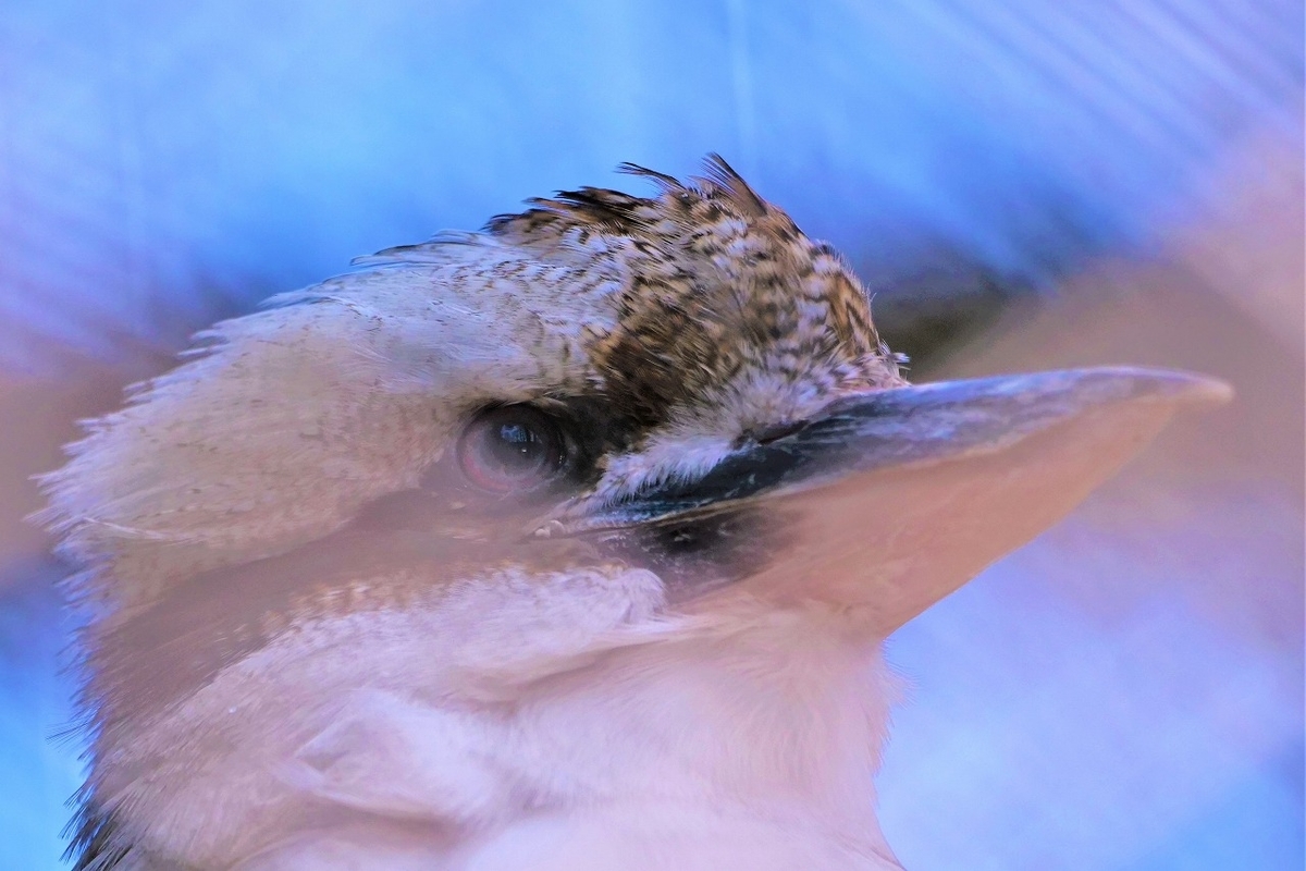 f:id:hirochanna:20220325000953j:plain