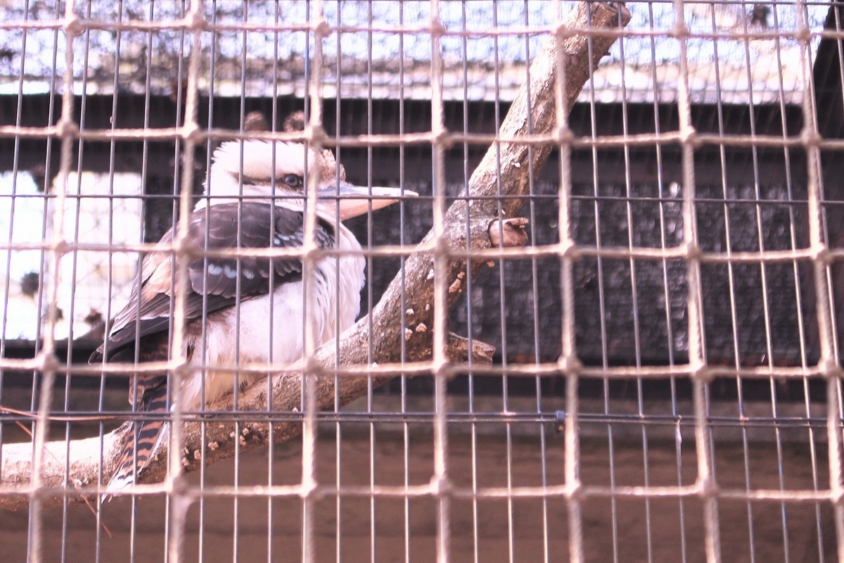 f:id:hirochanna:20220325001153j:plain