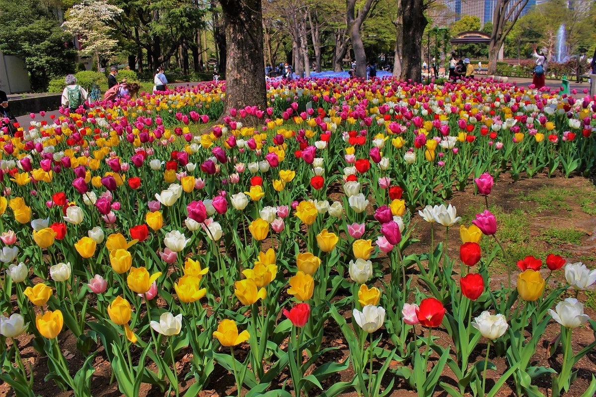 f:id:hirochanna:20220412003020j:plain